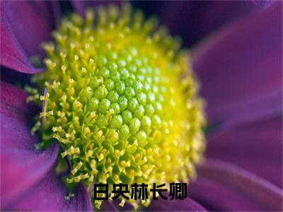 白央林长卿(白央林长卿)全文阅读无弹窗大结局-白央林长卿小说结局免费阅读_笔趣阁（白央林长卿）