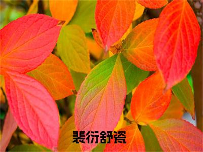 蜜锁满怀小说全文免费阅读无弹窗大结局_（蜜锁满怀）裴衍舒瓷最新章节列表笔趣阁（裴衍舒瓷）