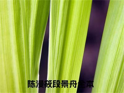 陈漫筱段景舟（陈漫筱段景舟小说）全文免费阅读无弹窗大结局_陈漫筱段景舟最新章节列表笔趣阁