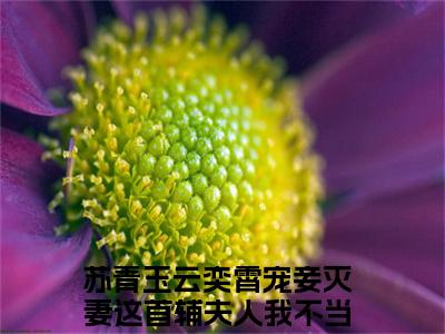 小说宠妾灭妻这首辅夫人我不当了（苏青玉云奕霄小说免费阅读）完结阅读，宠妾灭妻这首辅夫人我不当了在线阅读