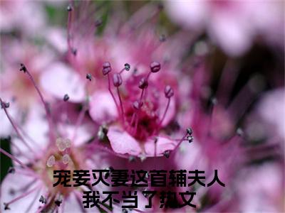 苏青玉云奕霄（宠妾灭妻这首辅夫人我不当了）精彩热门小说-苏青玉云奕霄全章节免费阅读