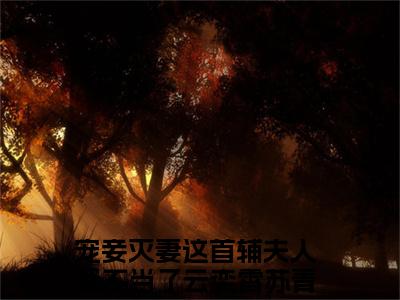 云奕霄苏青玉免费小说（宠妾灭妻这首辅夫人我不当了）全文无弹窗阅读 云奕霄苏青玉大结局免费阅读无弹窗