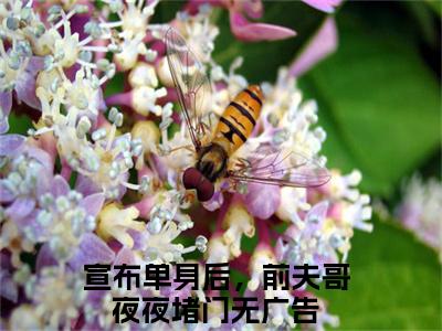 林斯理周豫全文(宣布单身后，前夫哥夜夜堵门)全文免费阅读无弹窗大结局_(林斯理周豫全文免费阅读全文大结局)林斯理周豫最新章节列表_笔趣阁（宣布单身后，前夫哥夜夜堵门全文）