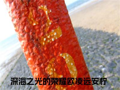 欧凌远安柠（深海之光的荣耀）全文免费阅读无弹窗大结局_欧凌远安柠最新章节列表_笔趣阁（深海之光的荣耀）