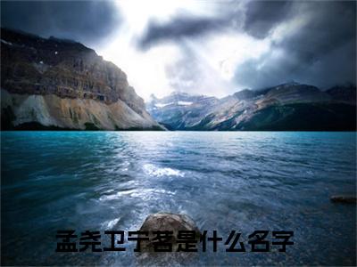 免费小说（孟尧卫宁茗）全文免费阅读无弹窗-孟尧卫宁茗小说全文在线赏析