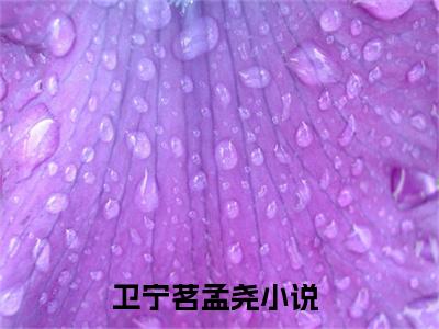 卫宁茗孟尧正版小说全文阅读-小说推荐卫宁茗孟尧精彩章节全文阅读