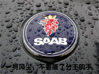 赵云霓江墨尘（一身风尘，不要脏了公主的手）全文免费阅读无弹窗大结局_一身风尘，不要脏了公主的手小说最新章节列表_笔趣阁