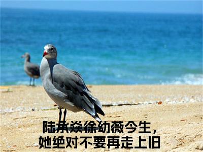 陆承焱徐幼薇（今生，她绝对不要再走上旧路）全文免费阅读无弹窗大结局_今生，她绝对不要再走上旧路全文在线阅读