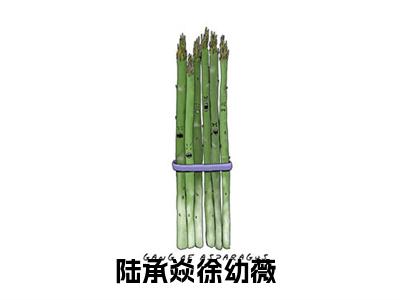 陆承焱徐幼薇(陆承焱徐幼薇)抖音热推小说全集无删减,陆承焱徐幼薇小说在线免费阅读大结局