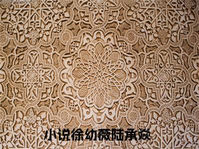 徐幼薇陆承焱无广告小说全文免费阅读无弹窗大结局-徐幼薇陆承焱在线阅读