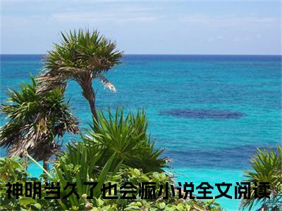 唐安(神明当久了也会疯)全文免费阅读无弹窗大结局_(神明当久了也会疯)小说免费阅读最新章节列表