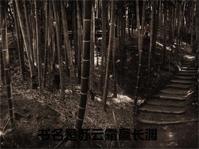 三生石上那段缘，我不认！（苏云霜赢长渊小说）全文免费阅读无弹窗大结局_三生石上那段缘，我不认！最新章节（苏云霜赢长渊）