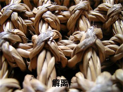 夏知澜全文免费阅读无弹窗-（解离在线阅读）夏知澜最新章节列表笔趣阁