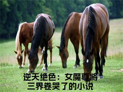 安宁小说（逆天绝色：女魔尊将三界卷哭了）全文免费阅读无弹窗大结局_安宁全文免费完结版阅读（逆天绝色：女魔尊将三界卷哭了）