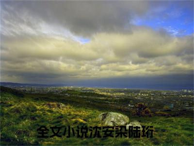 沈安染陆珩(沈安染陆珩）小说全文免费阅读无弹窗大结局_（沈安染陆珩）小说全文免费阅读最新章节列表笔趣阁