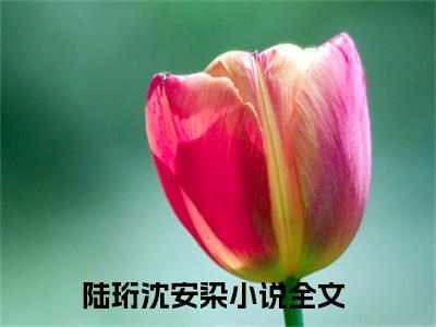 陆珩沈安染小说免费阅读-小说推荐陆珩沈安染精彩章节在线阅读