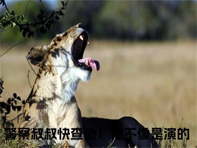 警察叔叔快查他！他不像是演的小说（李阳）全文免费阅读无弹窗大结局_警察叔叔快查他！他不像是演的小说免费阅读_笔趣阁（李阳小说）