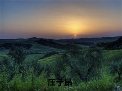 庄子昂（还剩三个月命，请让我从容赴死）免费小说-庄子昂小说完整版阅读