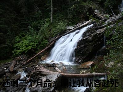 庄子昂小说(还剩三个月命，请让我从容赴死)全文免费阅读无弹窗大结局_(庄子昂免费阅读全文大结局)最新章节列表_笔趣阁（还剩三个月命，请让我从容赴死）