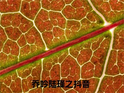 乔吟陆瑾之阅读无弹窗大结局_乔吟陆瑾之穿越小说免费阅读_笔趣阁