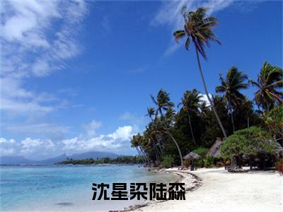 沈星染陆森（沈星染陆森）全文免费阅读无弹窗大结局_（沈星染陆森）沈星染陆森最新章节列表_笔趣阁（沈星染陆森）