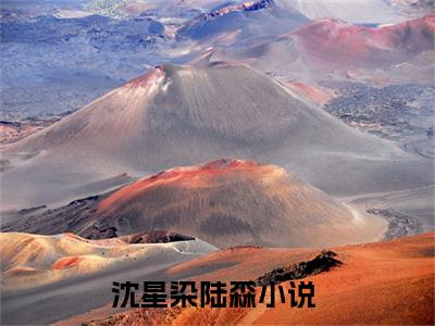 沈星染陆森小说（沈星染陆森）完整版大结局-沈星染陆森小说免费阅读