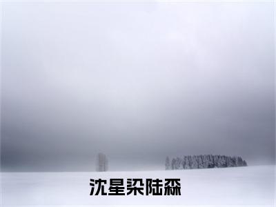 沈星染陆森全文免费在线阅读_（沈星染陆森免费阅读无弹窗）沈星染陆森全文免费完结版阅读（沈星染陆森）