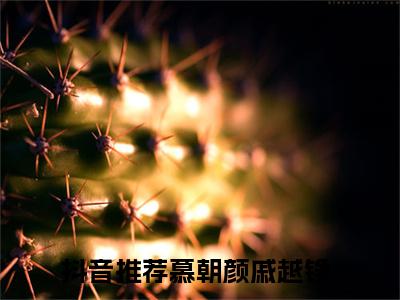 高赞小说慕朝颜戚越铮（慕朝颜戚越铮小说免费阅读）完结阅读_慕朝颜戚越铮小说免费阅读免费看全文