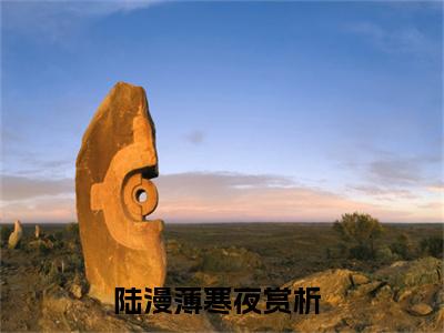 陆漫薄寒夜全文(陆漫薄寒夜)全文免费阅读无弹窗大结局_(陆漫薄寒夜全文免费阅读全文大结局)陆漫薄寒夜最新章节列表_笔趣阁（陆漫薄寒夜全文）
