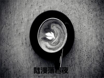 陆漫薄寒夜(陆漫薄寒夜)抖音热推小说全集无删减_(陆漫薄寒夜免费阅读全文大结局)最新章节列表_笔趣阁