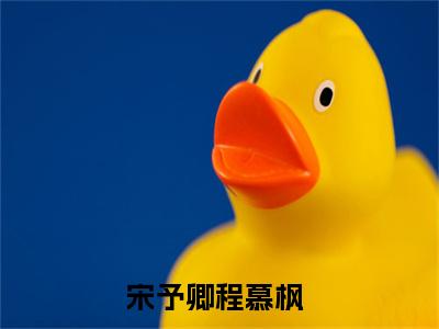 宋予卿程慕枫（宋予卿程慕枫）全文免费阅读无弹窗大结局_宋予卿程慕枫全文免费阅读最新章节列表_笔趣阁（宋予卿程慕枫）