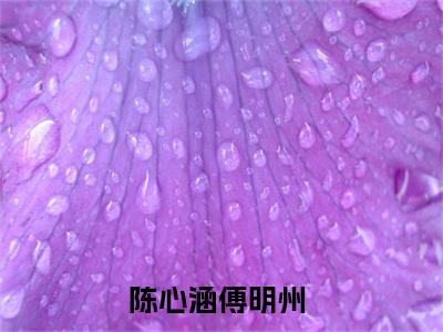 陈心涵傅明州（陈心涵傅明州）小说在线阅读_陈心涵傅明州全本免费小说阅读（陈心涵傅明州）