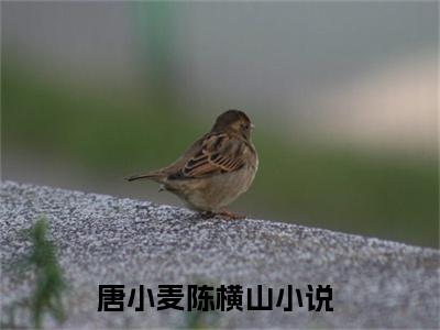 唐小麦陈横山抖音高赞小说 唐小麦陈横山全文无弹窗阅读