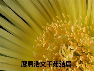廖原浩文千茹(廖原浩文千茹)全文免费阅读无弹窗大结局_廖原浩文千茹小说在线阅读无删减