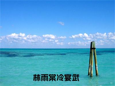 林雨棠冷宴武（林雨棠冷宴武）全文免费阅读无弹窗大结局_林雨棠冷宴武最新章节列表_笔趣阁