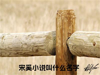 宋奚（在这个谁也不爱她的这个世界，也没活着的必要了）小说全文免费_宋奚（在这个谁也不爱她的这个世界，也没活着的必要了）最新章节目录笔趣阁（在这个谁也不爱她的这个世界，也没活着的必要了）