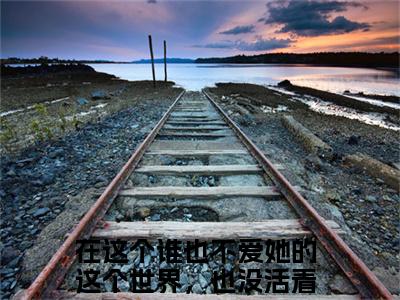宋奚老书虫书荒推荐热点小说-宋奚在这个谁也不爱她的这个世界，也没活着的必要了全文免费阅读