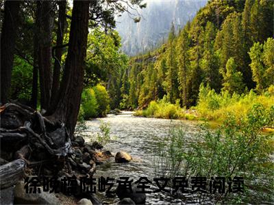 徐晚楹陆屹承小说（徐晚楹陆屹承）全文免费阅读-徐晚楹陆屹承精彩章节在线阅读