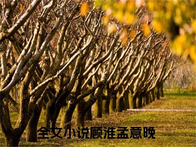 顾淮孟意晚正版小说最新章节在线阅读-（顾淮孟意晚）全文无弹窗阅读