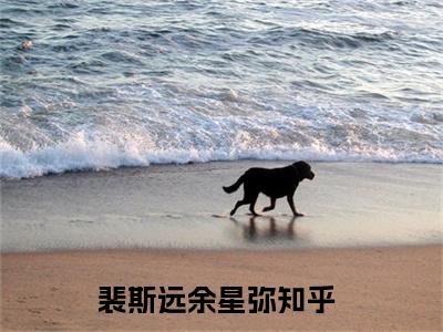 裴斯远余星弥阅读无弹窗大结局_（裴斯远余星弥阅读无弹窗）最新章节列表_笔趣阁（裴斯远余星弥）