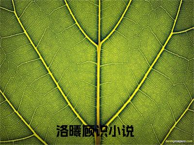 洛曦顾识的小说全文免费阅读无弹窗大结局-《洛曦顾识》完整章节阅读