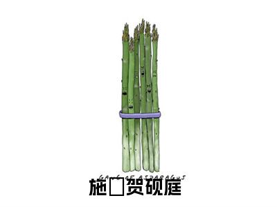 施婳贺砚庭（施婳贺砚庭）全文阅读完整版_施婳贺砚庭（施婳贺砚庭）小说免费阅读大结局无删减（施婳贺砚庭）
