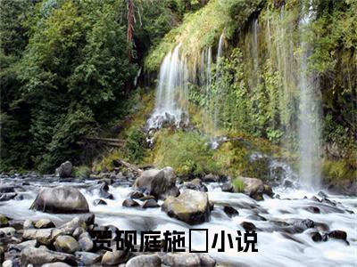 贺砚庭施婳「精彩小说」无弹窗阅读 贺砚庭施婳大结局阅读