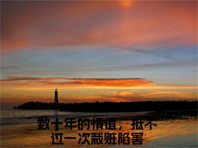 余青瑭陈逾征全文免费阅读大结局 数十年的情谊，抵不过一次栽赃陷害最新章节列表
