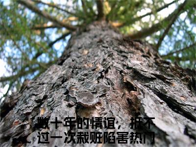 数十年的情谊，抵不过一次栽赃陷害（余青瑭陈逾征）小红书热荐小说-数十年的情谊，抵不过一次栽赃陷害女生爱看的小说全集资源