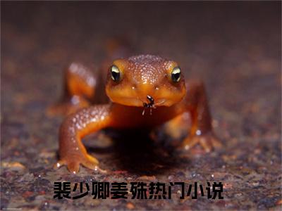 好看的小说推荐裴少卿姜殊 裴少卿姜殊全文试读免费大结局