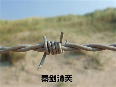 秦剑沛芙(秦剑沛芙小说)全文免费阅读无弹窗大结局_(秦剑沛芙小说免费阅读全文大结局)最新章节列表_笔趣阁（秦剑沛芙小说）
