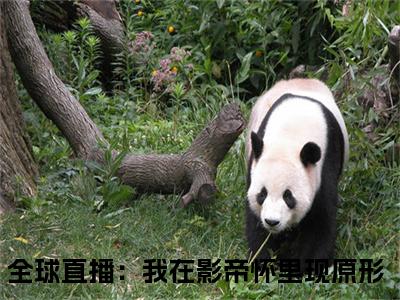 虞柏柏靳漠漓小说（全球直播：我在影帝怀里现原形）全文免费阅读无弹窗大结局_（虞柏柏靳漠漓）全球直播：我在影帝怀里现原形小说免费阅读无弹窗最新章节列表_笔趣阁