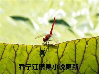 乔宁江辰禹热文小说全文阅读-精彩美文江总，夫人要离婚免费阅读