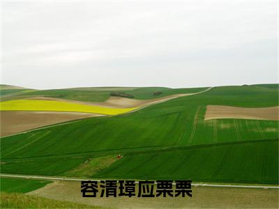 容清璋应栗栗免费小说,容清璋应栗栗全文免费阅读无弹窗大结局